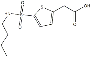 2-[5-(butylsulfamoyl)thiophen-2-yl]acetic acid Struktur