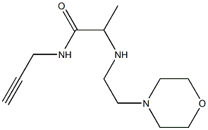 2-{[2-(morpholin-4-yl)ethyl]amino}-N-(prop-2-yn-1-yl)propanamide Struktur