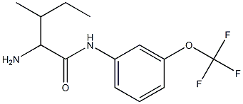 2-amino-3-methyl-N-[3-(trifluoromethoxy)phenyl]pentanamide Struktur