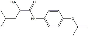 2-amino-4-methyl-N-[4-(propan-2-yloxy)phenyl]pentanamide Struktur