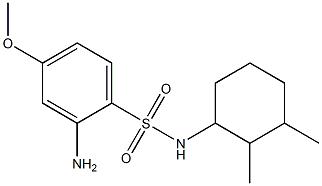 2-amino-N-(2,3-dimethylcyclohexyl)-4-methoxybenzene-1-sulfonamide Struktur