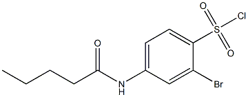 2-bromo-4-pentanamidobenzene-1-sulfonyl chloride Struktur