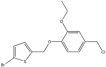 2-bromo-5-[4-(chloromethyl)-2-ethoxyphenoxymethyl]thiophene Struktur