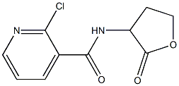 2-chloro-N-(2-oxooxolan-3-yl)pyridine-3-carboxamide Struktur