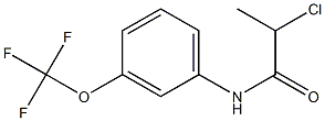 2-chloro-N-[3-(trifluoromethoxy)phenyl]propanamide Struktur