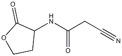 2-cyano-N-(2-oxooxolan-3-yl)acetamide Struktur