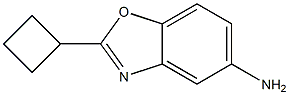 2-cyclobutyl-1,3-benzoxazol-5-amine Struktur