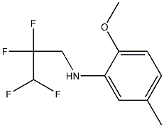 2-methoxy-5-methyl-N-(2,2,3,3-tetrafluoropropyl)aniline Struktur