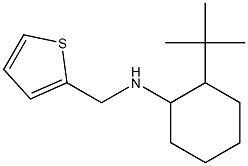 2-tert-butyl-N-(thiophen-2-ylmethyl)cyclohexan-1-amine Struktur