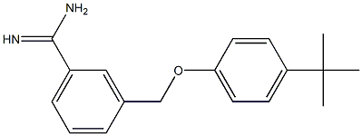 3-(4-tert-butylphenoxymethyl)benzene-1-carboximidamide Struktur