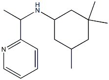 3,3,5-trimethyl-N-[1-(pyridin-2-yl)ethyl]cyclohexan-1-amine Struktur