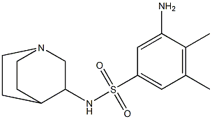 3-amino-N-{1-azabicyclo[2.2.2]octan-3-yl}-4,5-dimethylbenzene-1-sulfonamide Struktur