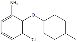 3-chloro-2-[(4-methylcyclohexyl)oxy]aniline Struktur