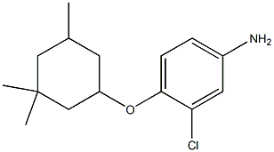 3-chloro-4-[(3,3,5-trimethylcyclohexyl)oxy]aniline Struktur