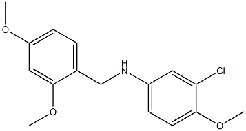 3-chloro-N-[(2,4-dimethoxyphenyl)methyl]-4-methoxyaniline Struktur