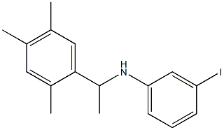 3-iodo-N-[1-(2,4,5-trimethylphenyl)ethyl]aniline Struktur