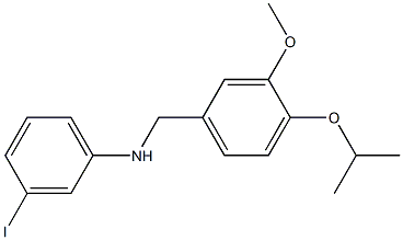 3-iodo-N-{[3-methoxy-4-(propan-2-yloxy)phenyl]methyl}aniline Struktur