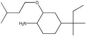 4-(2-methylbutan-2-yl)-2-(3-methylbutoxy)cyclohexan-1-amine Struktur