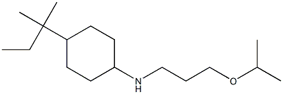 4-(2-methylbutan-2-yl)-N-[3-(propan-2-yloxy)propyl]cyclohexan-1-amine Struktur