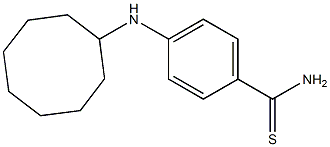 4-(cyclooctylamino)benzene-1-carbothioamide Struktur