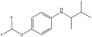 4-(difluoromethoxy)-N-(3-methylbutan-2-yl)aniline Struktur