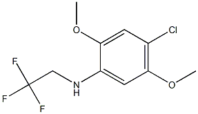 4-chloro-2,5-dimethoxy-N-(2,2,2-trifluoroethyl)aniline Struktur