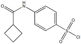 4-cyclobutaneamidobenzene-1-sulfonyl chloride Struktur