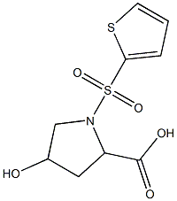 4-hydroxy-1-(thien-2-ylsulfonyl)pyrrolidine-2-carboxylic acid Struktur