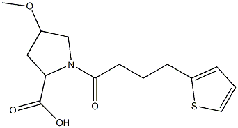 4-methoxy-1-(4-thien-2-ylbutanoyl)pyrrolidine-2-carboxylic acid Struktur