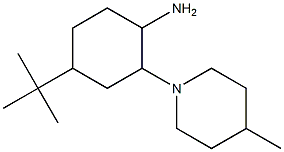 4-tert-butyl-2-(4-methylpiperidin-1-yl)cyclohexan-1-amine Struktur