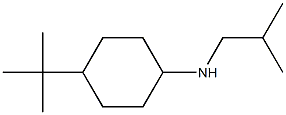 4-tert-butyl-N-(2-methylpropyl)cyclohexan-1-amine Struktur