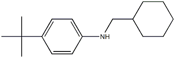 4-tert-butyl-N-(cyclohexylmethyl)aniline Struktur