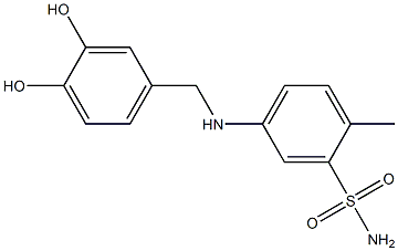 5-{[(3,4-dihydroxyphenyl)methyl]amino}-2-methylbenzene-1-sulfonamide Struktur