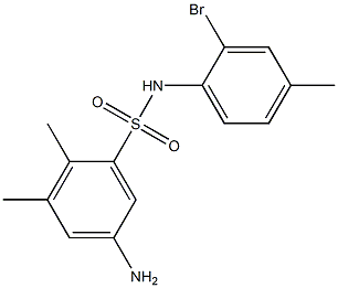 5-amino-N-(2-bromo-4-methylphenyl)-2,3-dimethylbenzene-1-sulfonamide Struktur