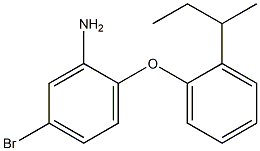 5-bromo-2-[2-(butan-2-yl)phenoxy]aniline Struktur