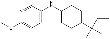 6-methoxy-N-[4-(2-methylbutan-2-yl)cyclohexyl]pyridin-3-amine Struktur