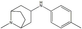 8-methyl-N-(4-methylphenyl)-8-azabicyclo[3.2.1]octan-3-amine Struktur