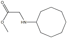 methyl 2-(cyclooctylamino)acetate Struktur