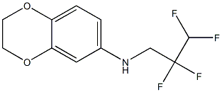 N-(2,2,3,3-tetrafluoropropyl)-2,3-dihydro-1,4-benzodioxin-6-amine Struktur