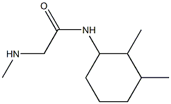 N-(2,3-dimethylcyclohexyl)-2-(methylamino)acetamide Struktur