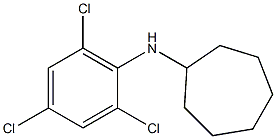 N-(2,4,6-trichlorophenyl)cycloheptanamine Struktur