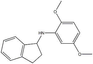 N-(2,5-dimethoxyphenyl)-2,3-dihydro-1H-inden-1-amine Struktur