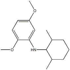 N-(2,6-dimethylcyclohexyl)-2,5-dimethoxyaniline Struktur