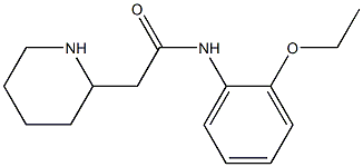 N-(2-ethoxyphenyl)-2-(piperidin-2-yl)acetamide Struktur