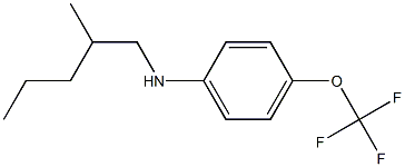 N-(2-methylpentyl)-4-(trifluoromethoxy)aniline Struktur