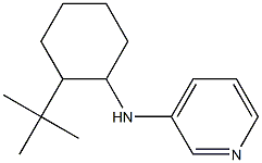 N-(2-tert-butylcyclohexyl)pyridin-3-amine Struktur