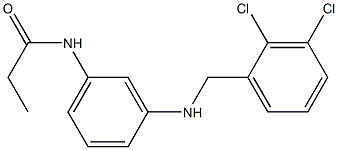 N-(3-{[(2,3-dichlorophenyl)methyl]amino}phenyl)propanamide Struktur