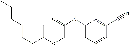 N-(3-cyanophenyl)-2-(octan-2-yloxy)acetamide Struktur