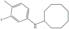 N-(3-fluoro-4-methylphenyl)cyclooctanamine Struktur