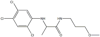 N-(3-methoxypropyl)-2-[(2,4,5-trichlorophenyl)amino]propanamide Struktur